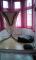 Helle Altbauwohnung sucht Nachmieter zum 1.4. in Gelsenkirchen Wohnung mieten 45879 Nordrhein-Westfalen - Gelsenkirchen Bild thumb