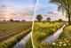 Hochwertiges Acker- und Wiesenland in Huisberden! Grundstück kaufen 47551 Bedburg-Hau Bild thumb