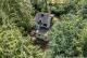 Idyllische Alleinlage: Wochenendhaus inmitten der Natur oberhalb von Antweiler/Ahr Haus kaufen 53533 Antweiler Bild thumb
