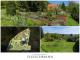 Idyllisches Freizeitgrundstück mit Weitblick in Zella-Mehlis Grundstück kaufen 98544 Zella-Mehlis Bild thumb
