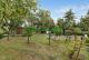 Ihr neues Paradies im Grünen: Charmanter Holzbungalow mit Wintergarten Haus kaufen 04668 Parthenstein Bild thumb