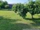 Im Töpferdorf *** EFH mit Scheune, 3 Garagen und Nebengebäuden und großem Garten *** Haus kaufen 03246 Crinitz Bild thumb