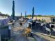 IRISH-PUB * absolute TOP Lage – direkt am Strand * auf der Nordseeinsel Juist * geringe Pacht * excellente Umsatzchancen * etabliert * erst 2018 modernisiert * Voll ausgestattet * sofort startklar! Gewerbe mieten 26571 Juist Bild thumb