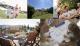 KLARE LINIEN, OFFENES LEBEN Haus kaufen 71726 Benningen am Neckar Bild thumb