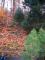 Kontraste! Wohnen mit Fern-oder Waldblick. 2 Zim.DG Wohnung Wohnung kaufen 76530 Baden-Baden Bild thumb