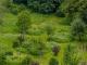 ++ KRAG Immobilien ++ Naturareal mit Werkstatt, Spiel- und Freizeitflächen für aktive Köpfe ++ Haus kaufen 35768 Siegbach Bild thumb