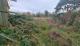 -Landschaftsliebhaber aufgepaßt!!- Grundstück kaufen 17419 Dargen Bild thumb