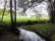 Landwirtschaftliche Fläche Naturpark Hessenreuther Wald Grundstück kaufen 92690 Pressath Bild thumb