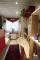 Modernisierte Wohnung mit Wintergarten und Terrasse in Bad Berneck Wohnung kaufen 95460 Bad Berneck im Fichtelgebirge Bild thumb