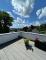 Neuwertiges EFH, mit großer Garage, Kamin und Dachterrasse vor den Toren von Chemnitz Haus kaufen 09377 Hohenstein-Ernstthal Bild thumb