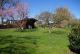 Niederelbert, solides Wohnhaus mit herrlichem Blick in beliebter Lage *VIRTUELLE 360° BESICHTIGUNG AUF ANFRAGE* Haus kaufen 56412 Niederelbert Bild thumb