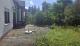 ObjNr:B-19748 - Freistehendes EFH mit Terrasse und großem Garten, ruhig gelegen in Zwingenberg Haus kaufen 64673 Zwingenberg Bild thumb