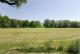 Ortsrandlage - Blick in die Natur Haus kaufen 04651 Bad Lausick Bild thumb