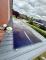 *Photovoltaikanlage*Heizung von 2020*Garage*Wintergarten*Siedlungslage*renoviert*Großes Grundstück* Haus kaufen 26831 Bunde Bild thumb