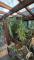 Poolvilla in Weil der Stadt - Haus im Haus - Merklingen Haus 71263 Weil der Stadt Bild thumb