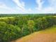 #RESERVIERT# Freizeitgrundstück mit Wald & Busch in Gölenkamp – Haftenkamp Grundstück kaufen 49843 Gölenkamp Bild thumb