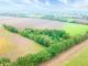 #RESERVIERT# Freizeitgrundstück mit Wald & Busch in Gölenkamp – Haftenkamp Grundstück kaufen 49843 Gölenkamp Bild thumb
