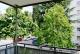 **RESERVIERT** Stadtnah wohnen zwischen Bessungen und Paulusviertel – attraktive 2-Zi.-Wohnung mit Sonnenbalkon Wohnung kaufen 64285 Darmstadt Bild thumb