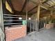 Resthof in Nordhorn-Bimolten – 2 Wohneinheiten, Stallungen, 1,75 ha Haus kaufen 48527 Nordhorn Bild thumb