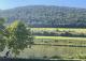 romantisches kleines Haus mit Moselblick und schöner Moselblick-Terrasse Haus kaufen 54492 Zeltingen-Rachtig Bild thumb
