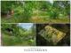 Ruhige Naturoase in Suhl - Erholung pur auf idyllischem Freizeitgrundstück Grundstück kaufen 98527 Suhl Bild thumb