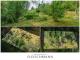 Ruhige Naturoase in Suhl - Erholung pur auf idyllischem Freizeitgrundstück Grundstück kaufen 98527 Suhl Bild thumb