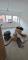  Schöne große 3 -Zimmer Wohnung mit Balkon in Mehring Wohnung mieten 54346 Mehring Bild thumb
