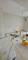  Schöne große 3 -Zimmer Wohnung mit Balkon in Mehring Wohnung mieten 54346 Mehring Bild thumb