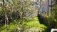 Schönes EFH mit Garten und Einliegerwohnung im Nebengelass Haus kaufen 14827 Wiesenburg/Mark Bild thumb