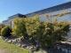 TROISDORF ESCHMAR top Bungalow, Bj. 2004, 5 Zimmer, ca. 160 m² Wfl. 460 m² GrSt., Keller, Garage, PV Haus kaufen 53844 Troisdorf Bild thumb