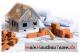 Vier individuell geplante Traumhäuser Ihr perfektes Zuhause Haus kaufen 86579 Waidhofen Bild thumb