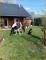 Wasser, traumhafte - ländliche Lage und ein Blockhaus Haus kaufen 14959 Trebbin Bild thumb