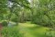 Wassermühle anno 1338 mit Wohnhaus und ca. 3.5 ha, Grund Wald, Wiese, Bachlauf, Fischteiche Haus kaufen 29525 Uelzen Bild thumb