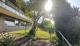 Weitblick! Haus kaufen 75395 Ostelsheim Bild thumb