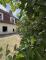 Wohnen auf dem Dorf ... Haus kaufen 04916 Herzberg (Elster) Bild thumb