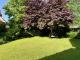 * Wohnen direkt vor Papenburg –Ein Zuhause zum Ankommen, Elegantes Einfamilienhaus mit Sommergarten * Haus kaufen 26810 Westoverledingen Bild thumb