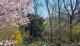 Wohnen im Grünen – Einfamilienhaus mit Aussicht Wald und Bachidylle direkt am Grundstück Haus kaufen 72116 Mössingen Bild thumb