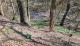 Wohnen im Grünen – Einfamilienhaus mit Aussicht Wald und Bachidylle direkt am Grundstück Haus kaufen 72116 Mössingen Bild thumb
