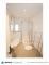 ++ ZWEI Häuser + EIN Preis + Garten + DOPPEL-Garage + sofort FREI ++ Haus kaufen 65779 Kelkheim (Taunus) Bild thumb