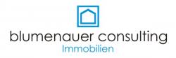 Firmenlogo Blumenauer Consulting GmbH & Co.KG